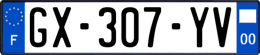 GX-307-YV