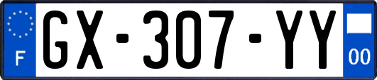 GX-307-YY