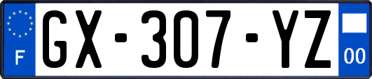 GX-307-YZ