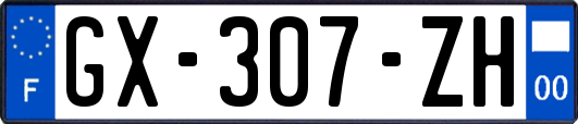 GX-307-ZH
