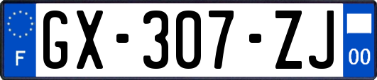 GX-307-ZJ