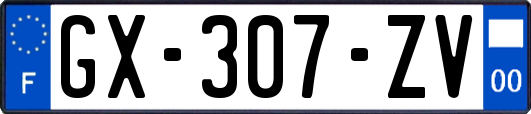 GX-307-ZV