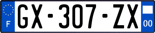 GX-307-ZX