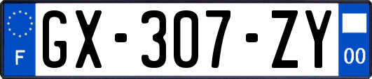 GX-307-ZY
