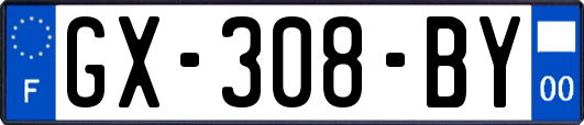 GX-308-BY