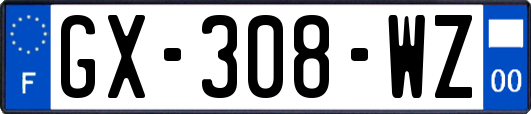 GX-308-WZ