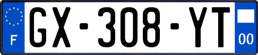 GX-308-YT