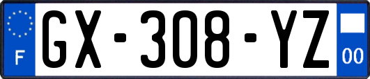 GX-308-YZ