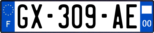 GX-309-AE