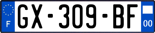 GX-309-BF