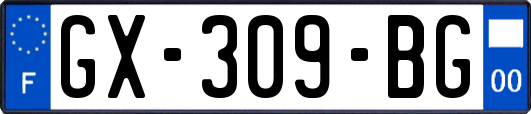 GX-309-BG