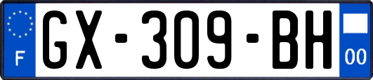 GX-309-BH