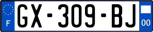 GX-309-BJ
