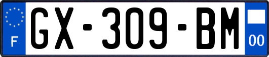 GX-309-BM