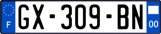GX-309-BN