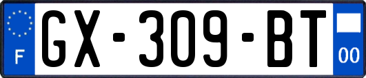 GX-309-BT