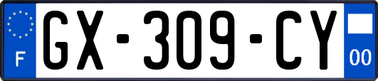 GX-309-CY