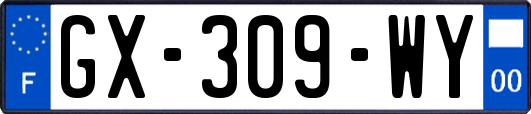 GX-309-WY