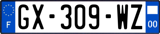 GX-309-WZ