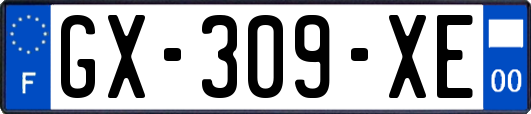 GX-309-XE