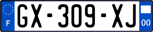 GX-309-XJ