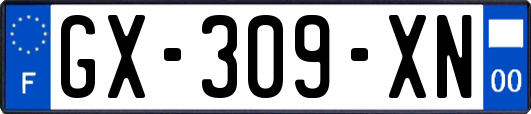 GX-309-XN