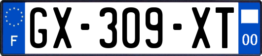 GX-309-XT