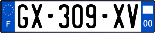 GX-309-XV