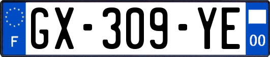 GX-309-YE
