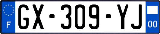 GX-309-YJ