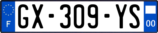 GX-309-YS