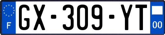 GX-309-YT