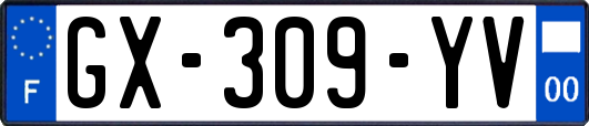 GX-309-YV