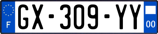 GX-309-YY
