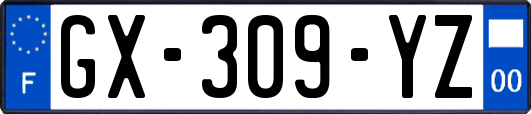 GX-309-YZ