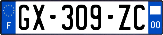 GX-309-ZC