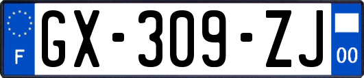 GX-309-ZJ