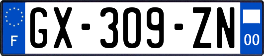 GX-309-ZN