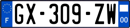 GX-309-ZW