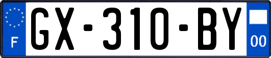 GX-310-BY