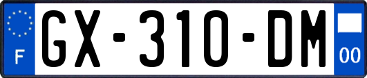 GX-310-DM