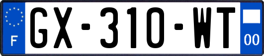 GX-310-WT