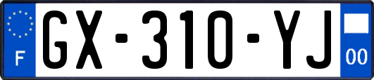 GX-310-YJ