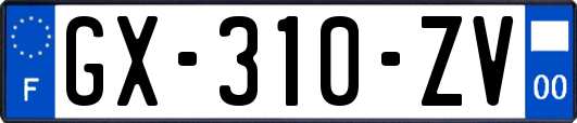 GX-310-ZV