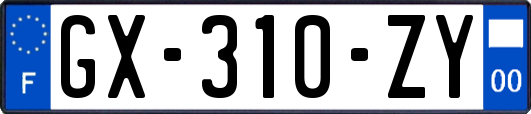 GX-310-ZY