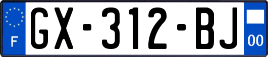GX-312-BJ