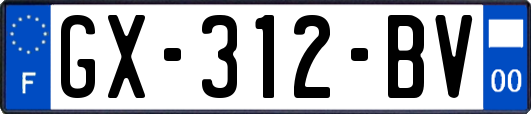 GX-312-BV