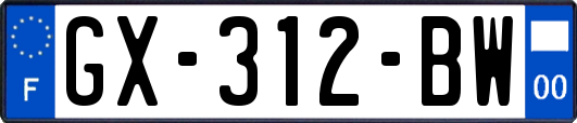 GX-312-BW