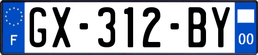 GX-312-BY