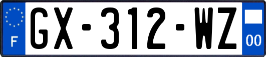 GX-312-WZ